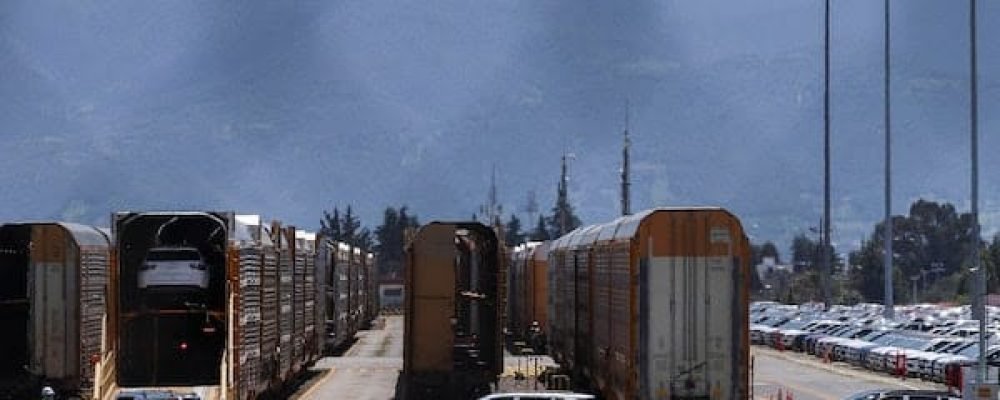 ТРАМП РОЗГУЛЯВСЯ.