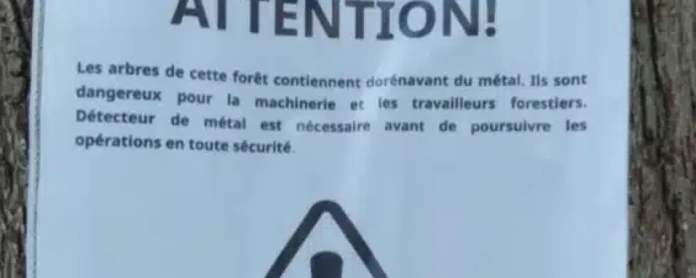 СУЧАСНІ РОБІН ГУДИ.