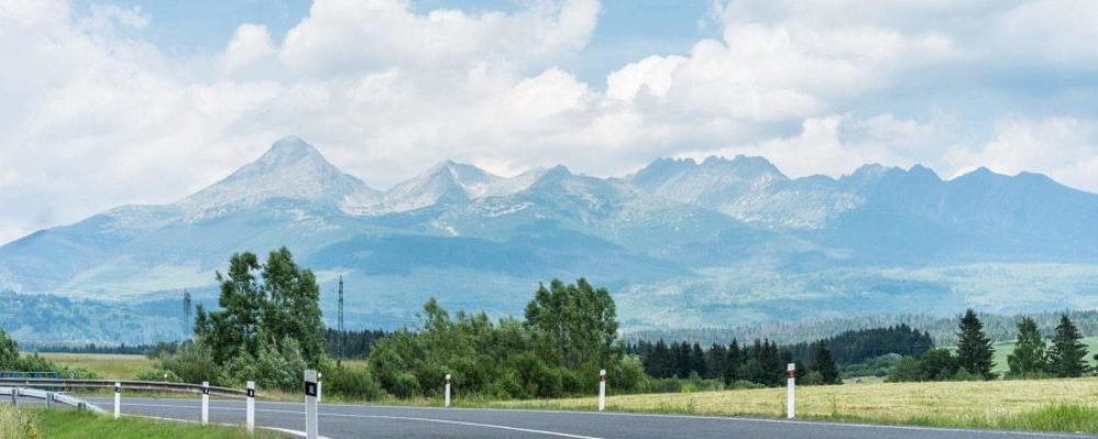 Поиск своей мечты