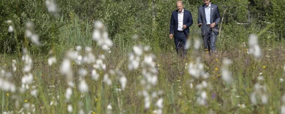 Взгляд в будущее энергетики.