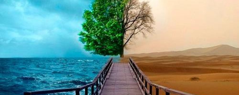 Как мы думаем?