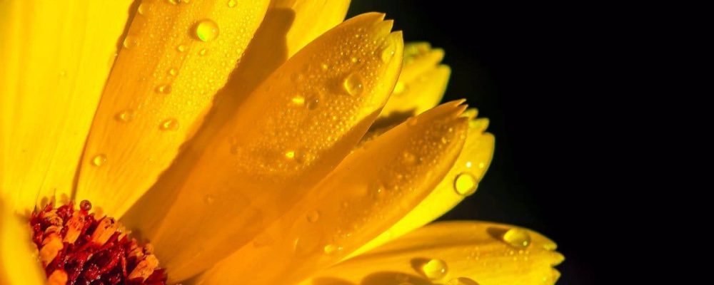 Энергия и осознание.