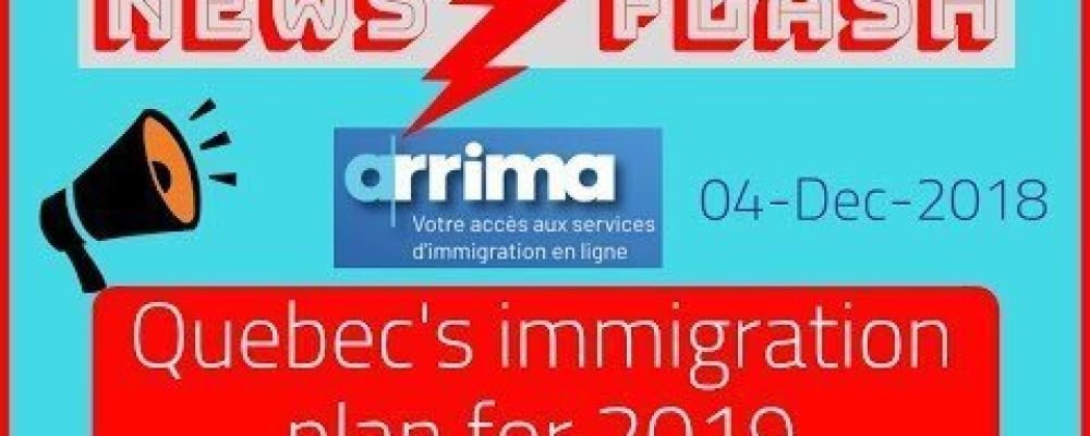 Перегнули палку