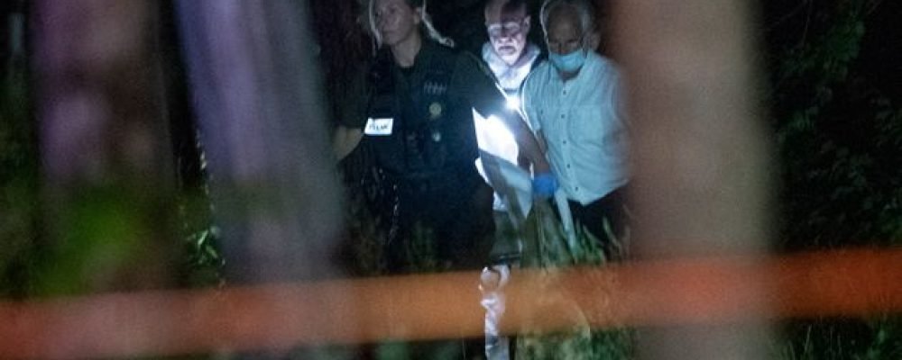 Полиция о подробностях трагедии