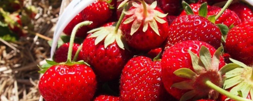 Приятное с полезным