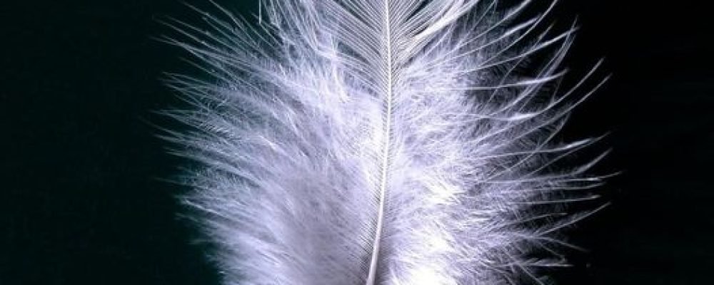 ТЕХНИКА КРЫЛЬЯ АНГЕЛА