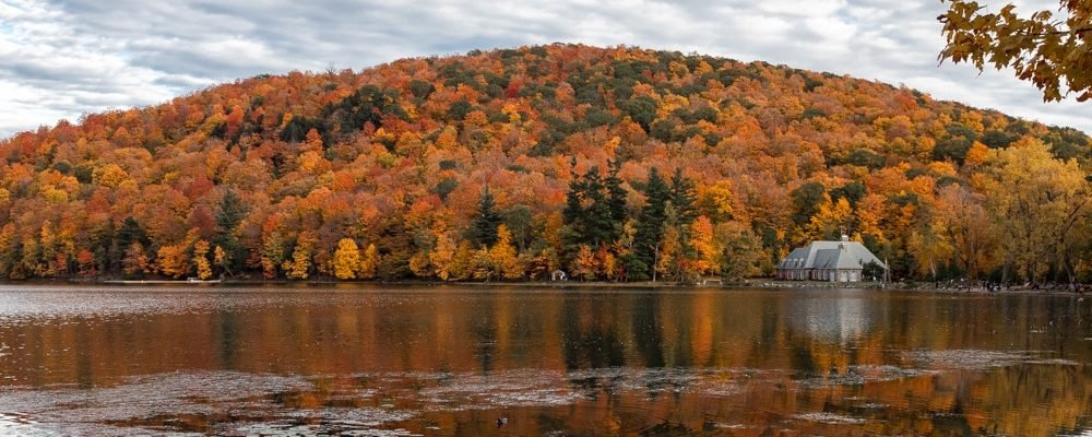 Краски осени ближе к дому