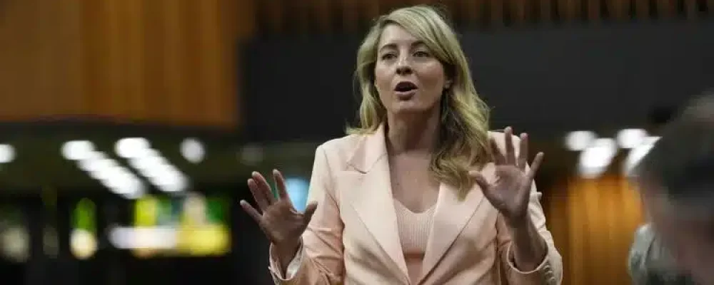 ПОДДЕРЖКА СЕКТОРА МЯГКОЙ ДРЕВЕСИНЫ.