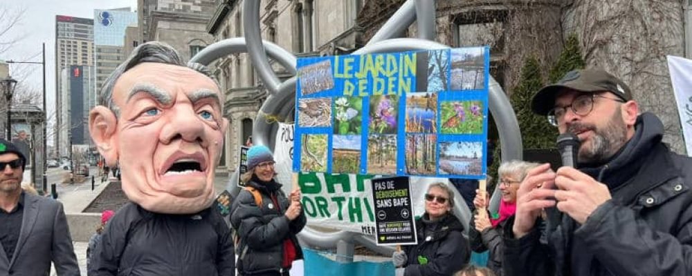 За незалежну експертизу.