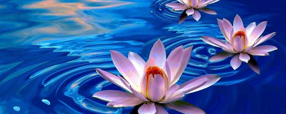 Медитация и Техники Осознанности: