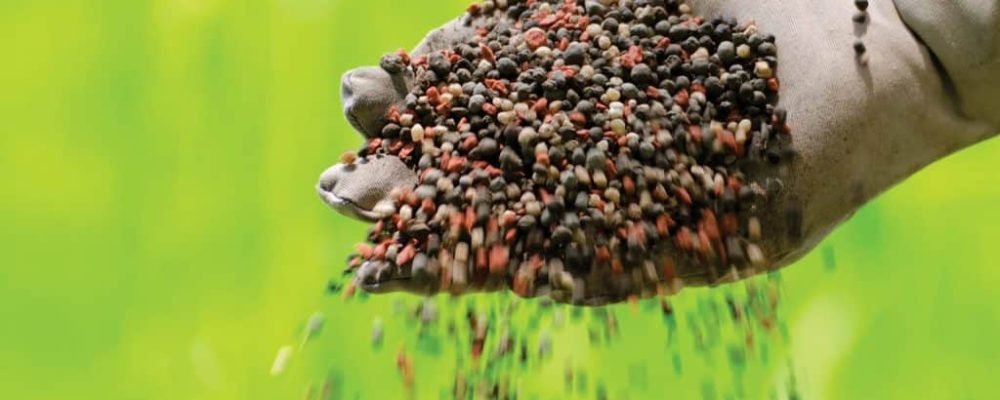 НОВІ «ДУЖЕ СУВОРІ МИТА» ВІД ТРАМПА.