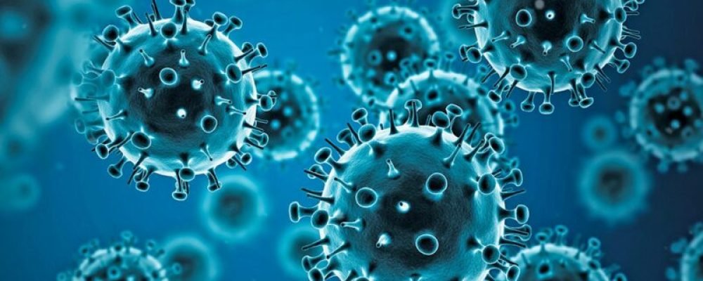 Вирусы наступают.