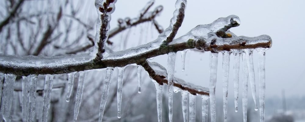ТЁПЛЫЙ НОВЫЙ ГОД.