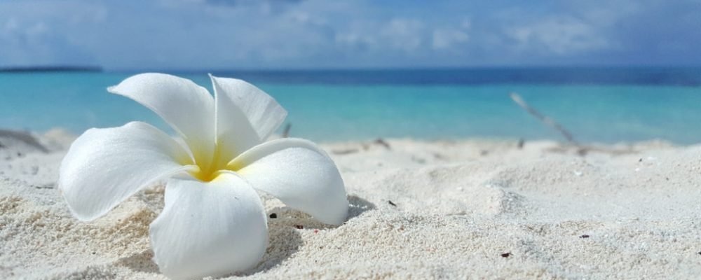 ПРАКТИКА ОЧИЩЕНИЯ — ХО’ОПОНОПОНО