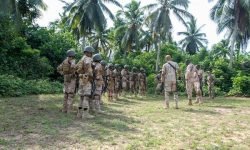 АФРИКАНСЬКІ НАВЧАННЯ БЕЗ КАНАДИ.