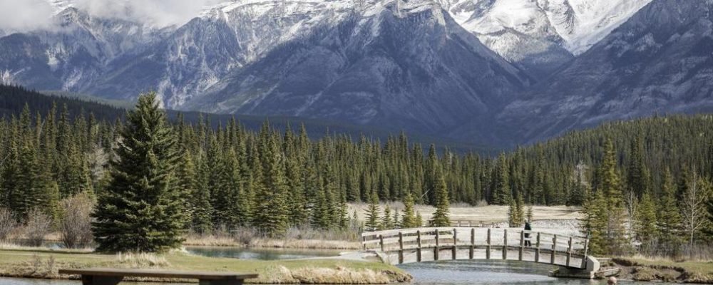 НАЦИОНАЛЬНЫЕ ПАРКИ ЗОВУТ.