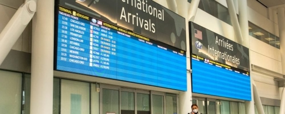 А олени лучше.