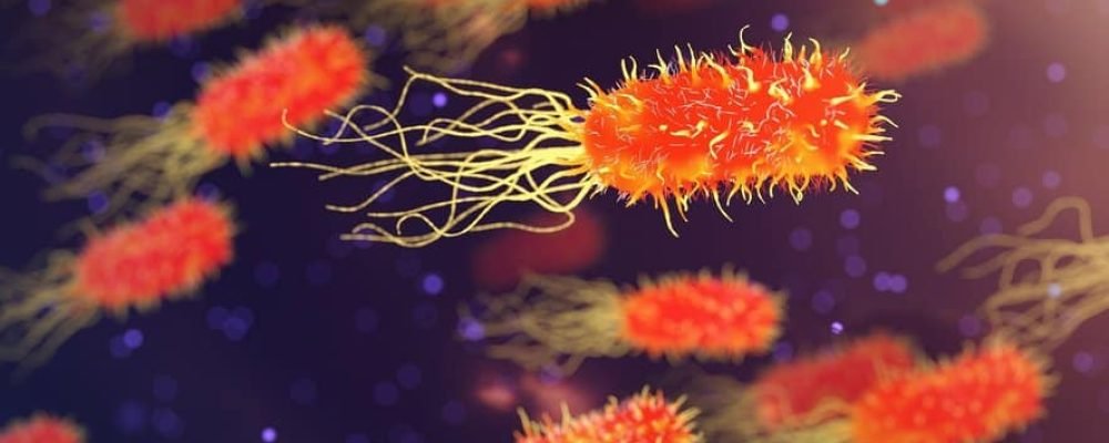 Опасный стрептококк.