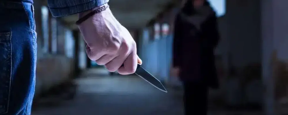 ХВИЛЯ НАСИЛЬНИЦЬКИХ ЗЛОЧИНІВ.