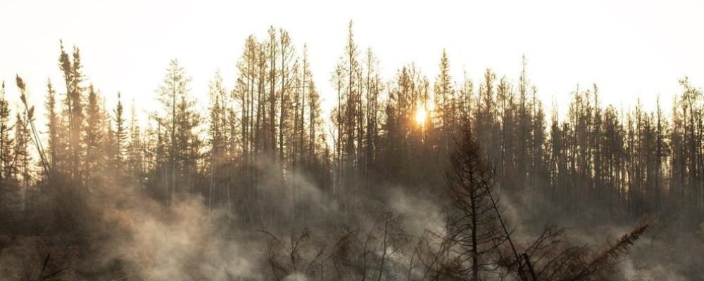 НАКАЗ ПРО ЕВАКУАЦІЮ.