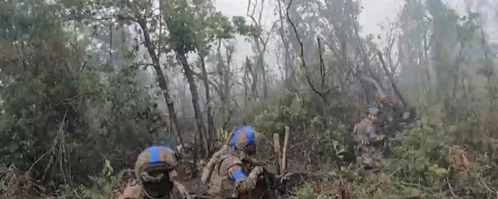 Тактичний прогрес на півдні.